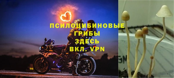 mix Алексин