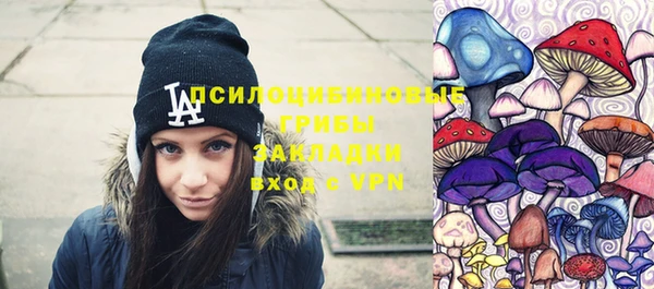 соль ск Алексеевка