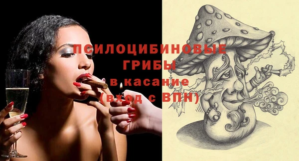 соль ск Алексеевка