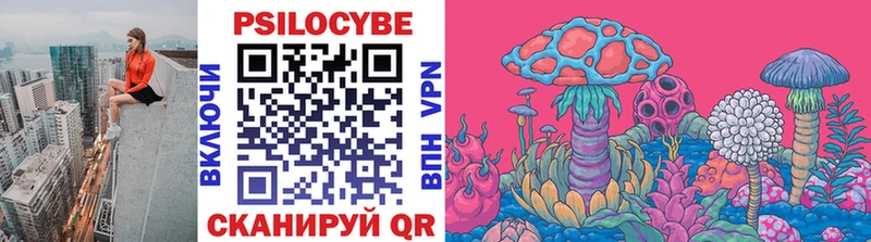 как найти закладки  Починок  блэк спрут ТОР  Галлюциногенные грибы мицелий 